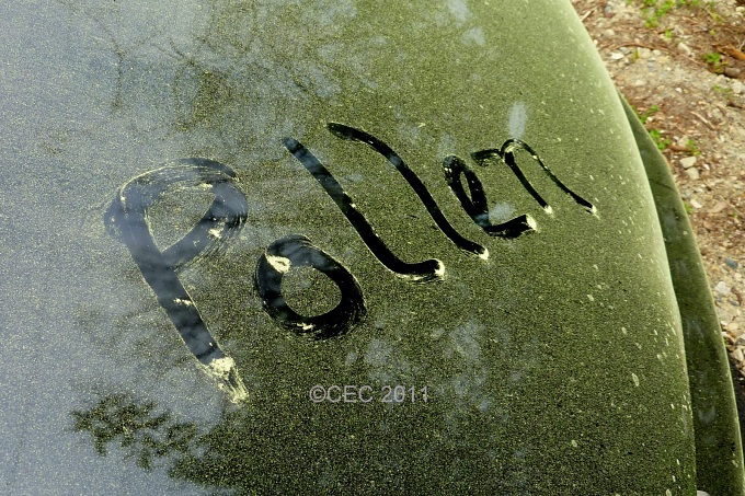 pollen on car